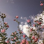 soooof profile picture leakfans.com