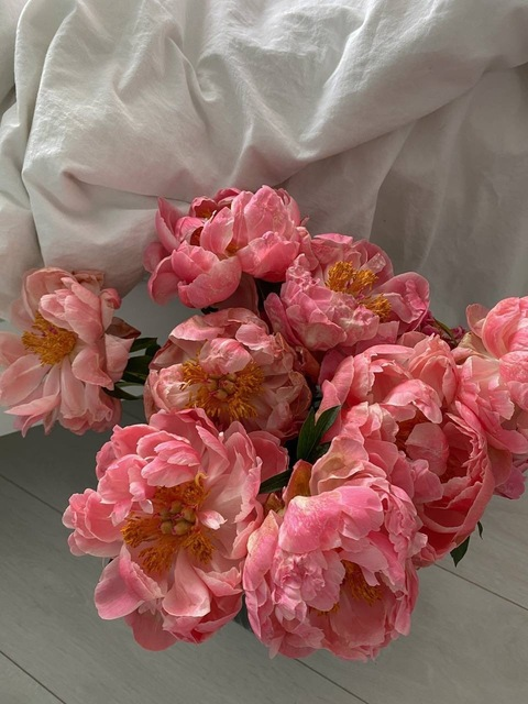 sosagum header picture leakfans.com