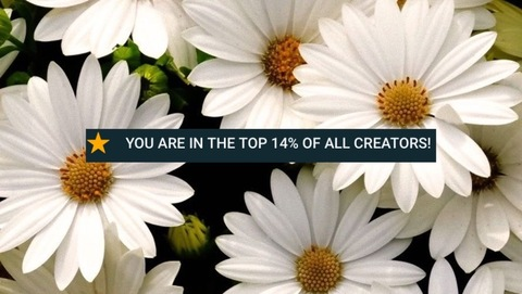 soscum header picture leakfans.com