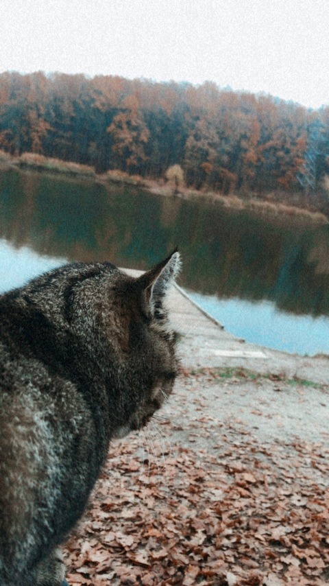 sosval header picture leakfans.com