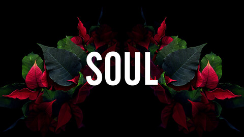 soulreaper09 header picture leakfans.com