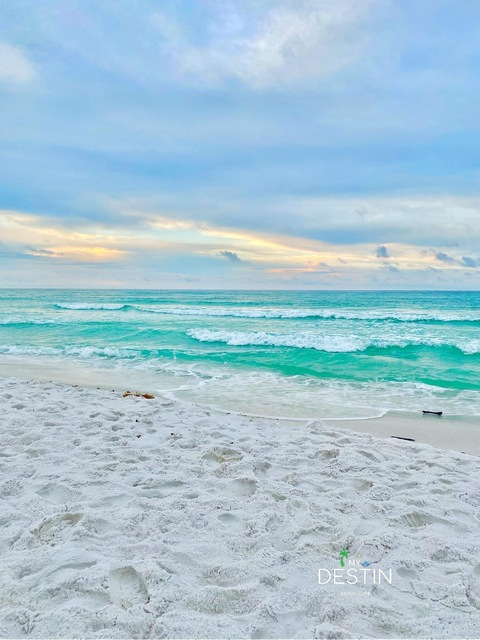 southernsole35 header picture leakfans.com