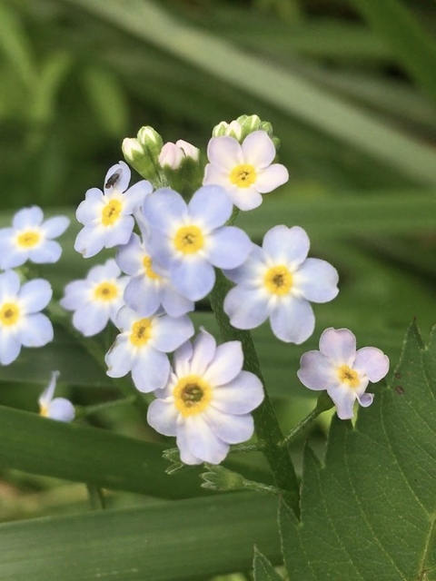 spacebunny header picture leakfans.com