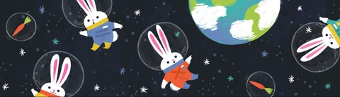 spacee.bunny header picture leakfans.com