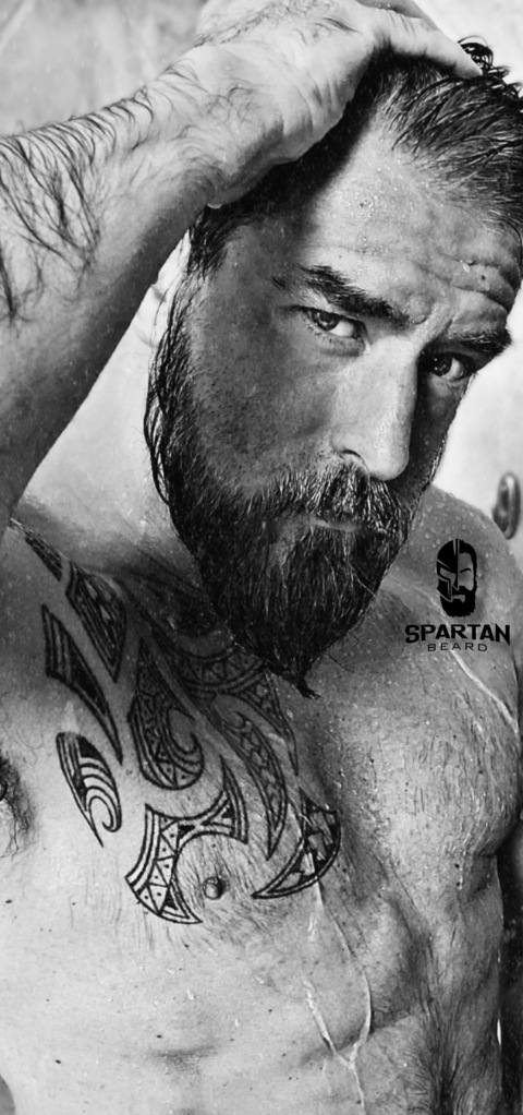 Header of spartanbeard