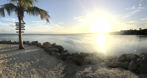 spartangirl header picture leakfans.com