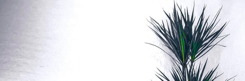 spencertrixx header picture leakfans.com