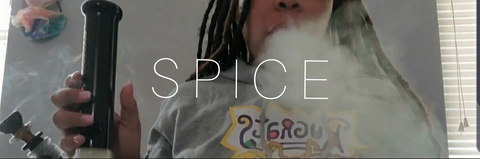 Header of spicecake