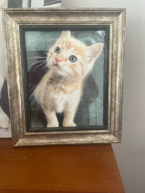 spicelord92 header picture leakfans.com