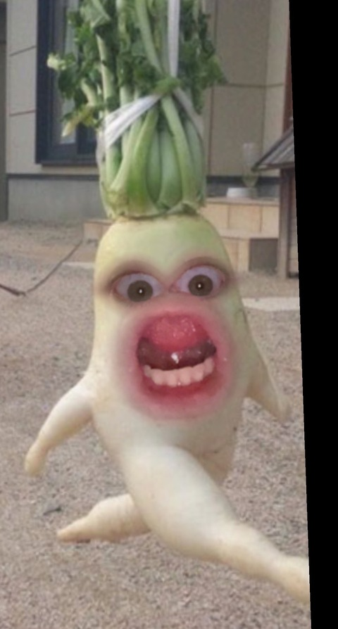 spiceykitty69 header picture leakfans.com