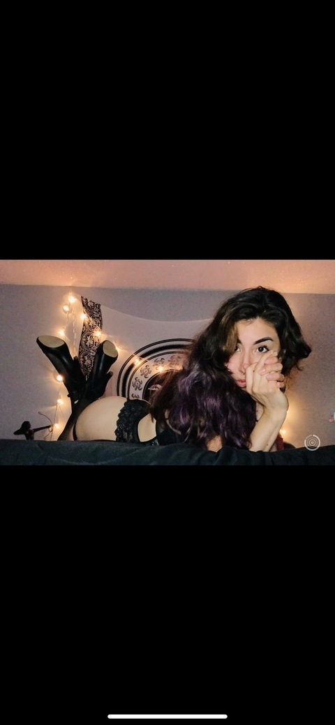 spicye header picture leakfans.com