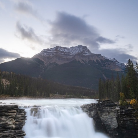 spicyellis header picture leakfans.com