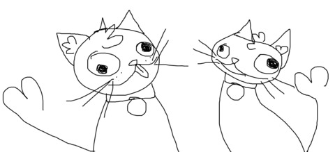 spinak_a header picture leakfans.com