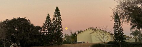 spitlikeascorp header picture leakfans.com