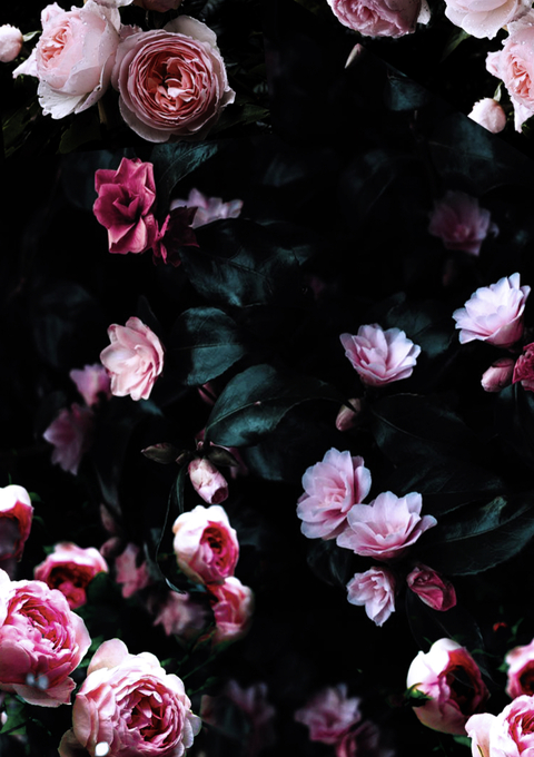 spoiledbrat03 header picture leakfans.com