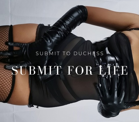 spoilskylark header picture leakfans.com