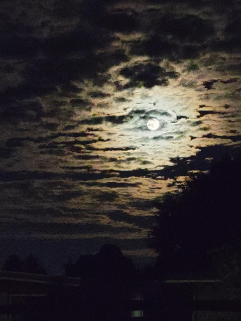 spookyautumnsapphire header picture leakfans.com