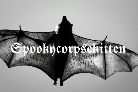 Header of spookycorpsekitten