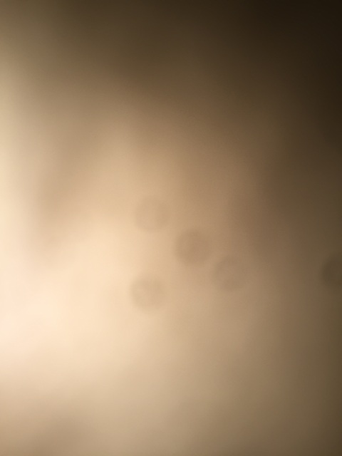 spoopyboi101 header picture leakfans.com