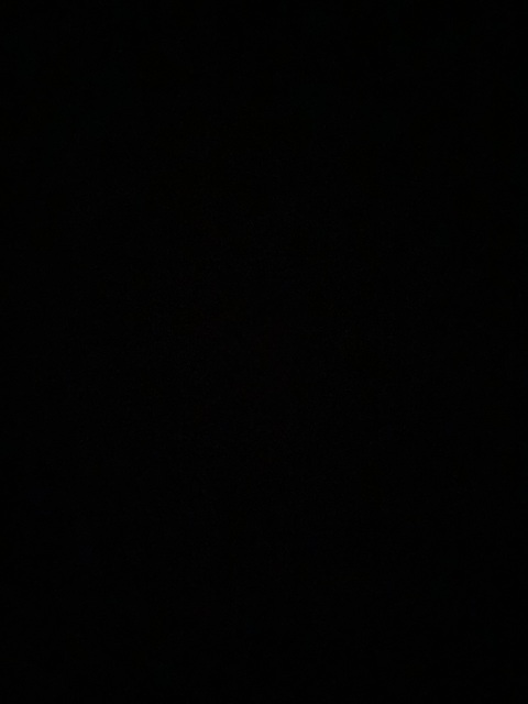 sporewh0re header picture leakfans.com