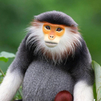 spunk profile picture leakfans.com