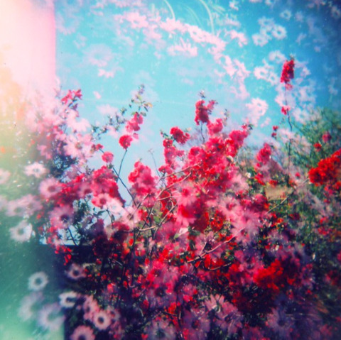 spyingonmilafree header picture leakfans.com