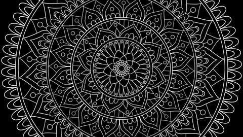 ssrosess222 header picture leakfans.com