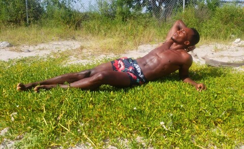 st.lucianstallion header picture leakfans.com