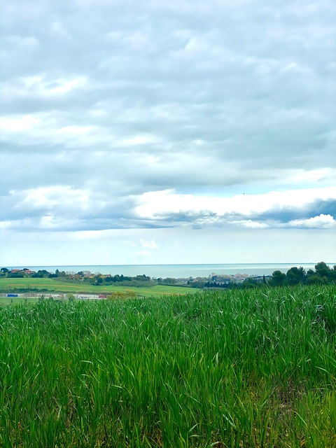 starjasmin99 header picture leakfans.com