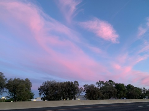 stars_honey header picture leakfans.com