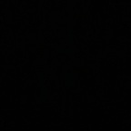 static_alx17 profile picture leakfans.com