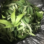 steadylong profile picture leakfans.com