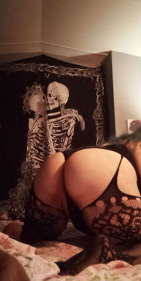 stellarosepics header picture leakfans.com