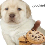 step-sis profile picture leakfans.com