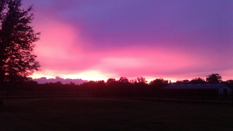 steve21as header picture leakfans.com