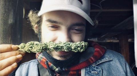 Header of stoner_bearcub1029