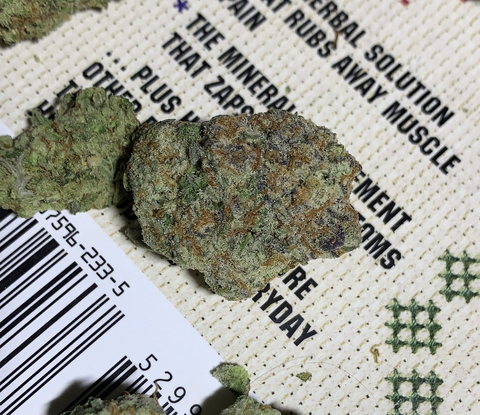 stonergirl5133 header picture leakfans.com