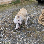 stoney57 profile picture leakfans.com