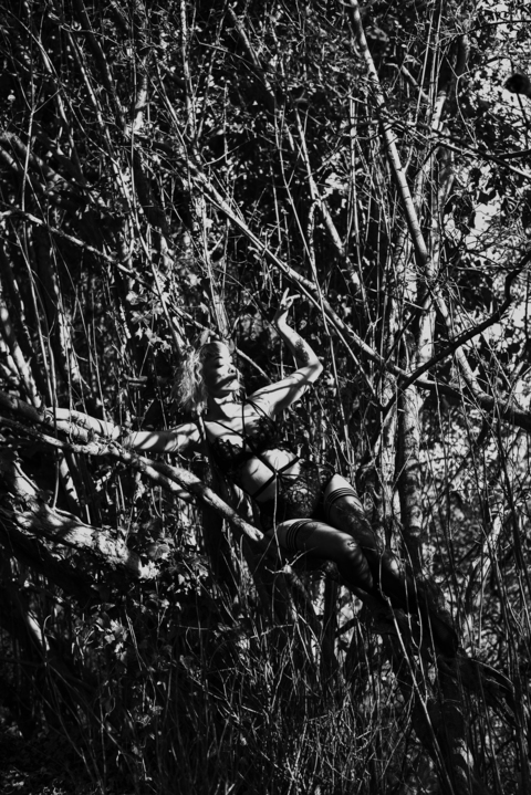 storm1313 header picture leakfans.com