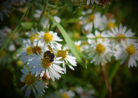 straightbear90 header picture leakfans.com