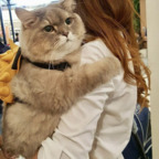 strwbrryprncss profile picture leakfans.com