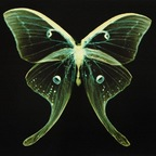 stvbbxrn profile picture leakfans.com