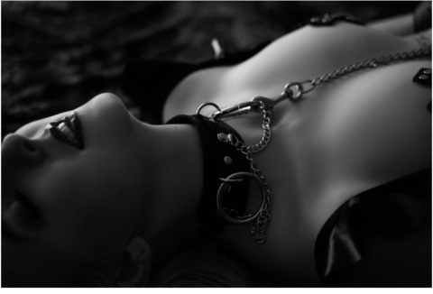 sub_lily header picture leakfans.com