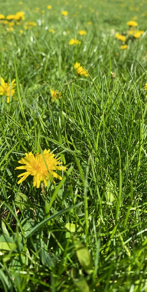 sublimestacy header picture leakfans.com