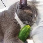 submissiveplz profile picture leakfans.com