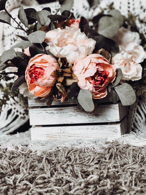 sugarxpirate header picture leakfans.com