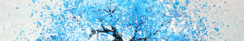 summer_king header picture leakfans.com