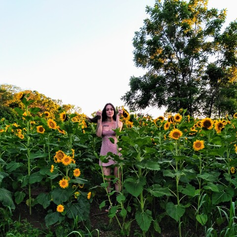 summerteal22 header picture leakfans.com