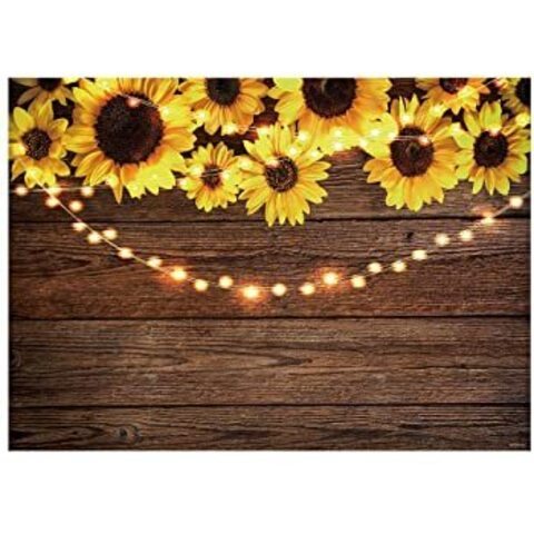 sunflower.beauty header picture leakfans.com