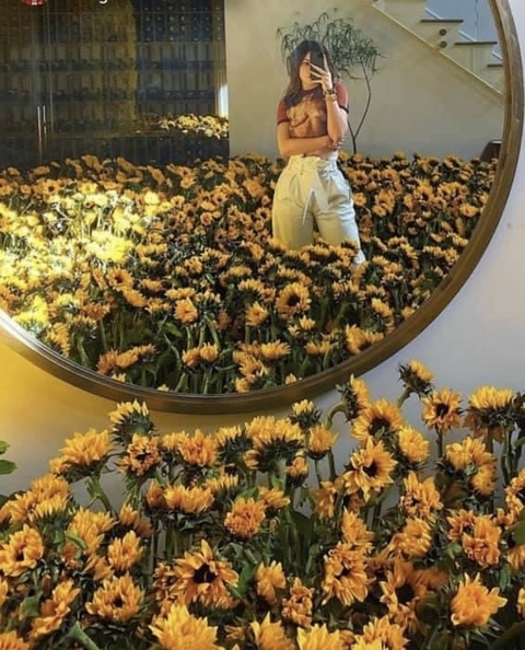 sunflowerchild34 header picture leakfans.com